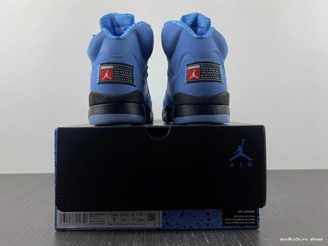 Rep 5 UNC DV1310-401 Air Jordan 0701